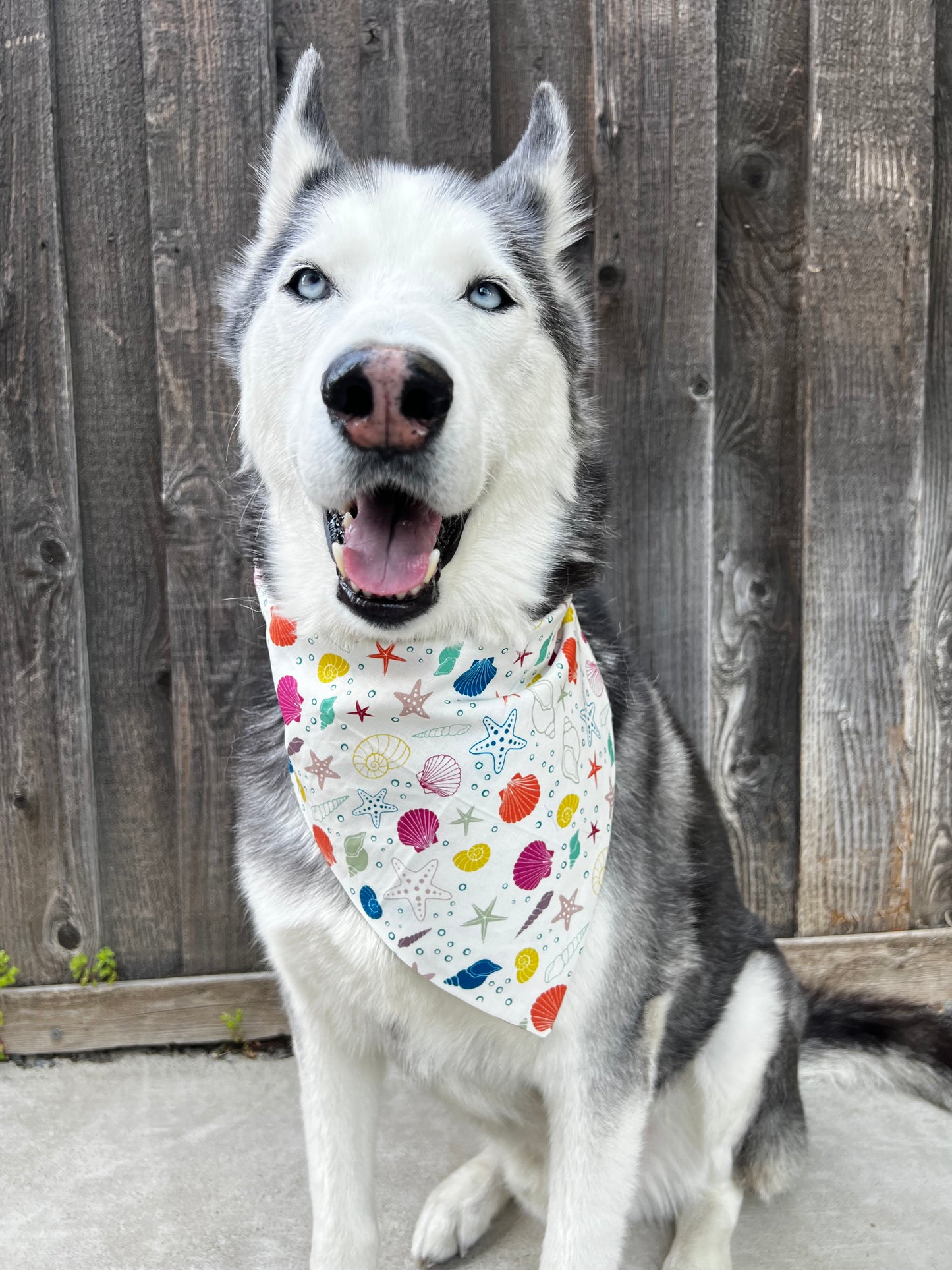 Ocean Charms Bandana