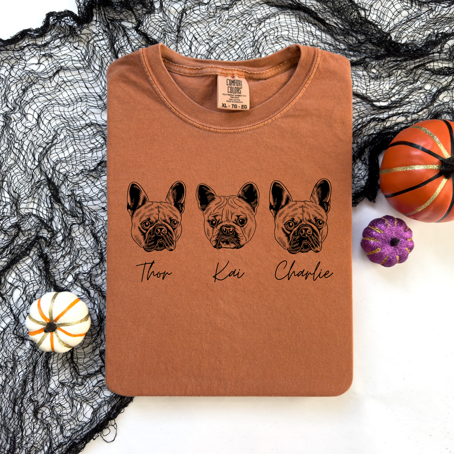Fall Colored Pet Portrait Shirts