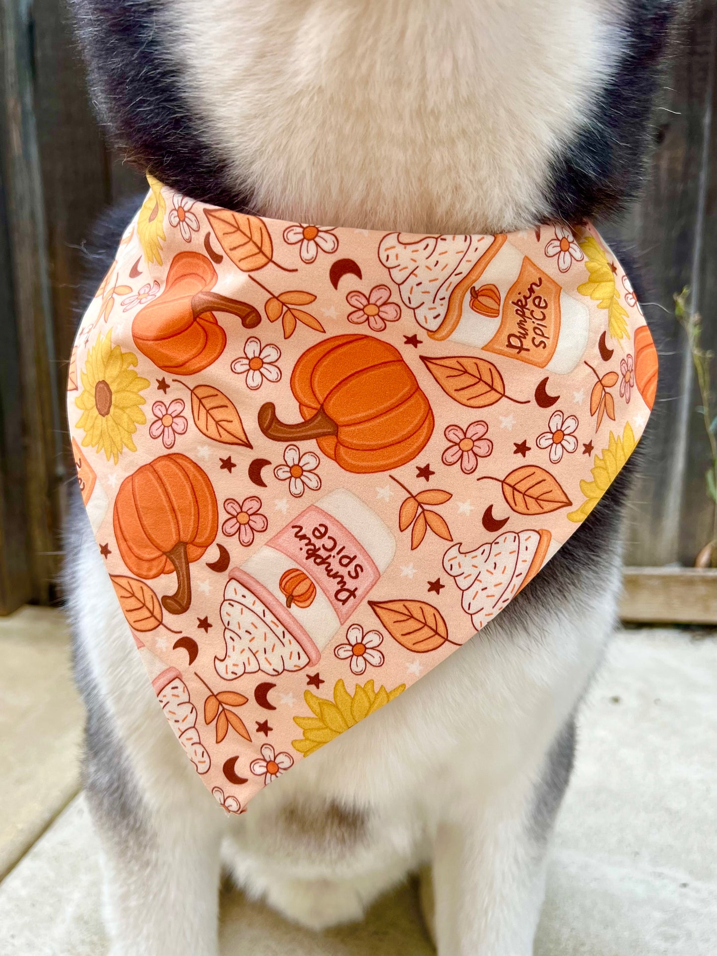PSL Autumn Vibes Bandana