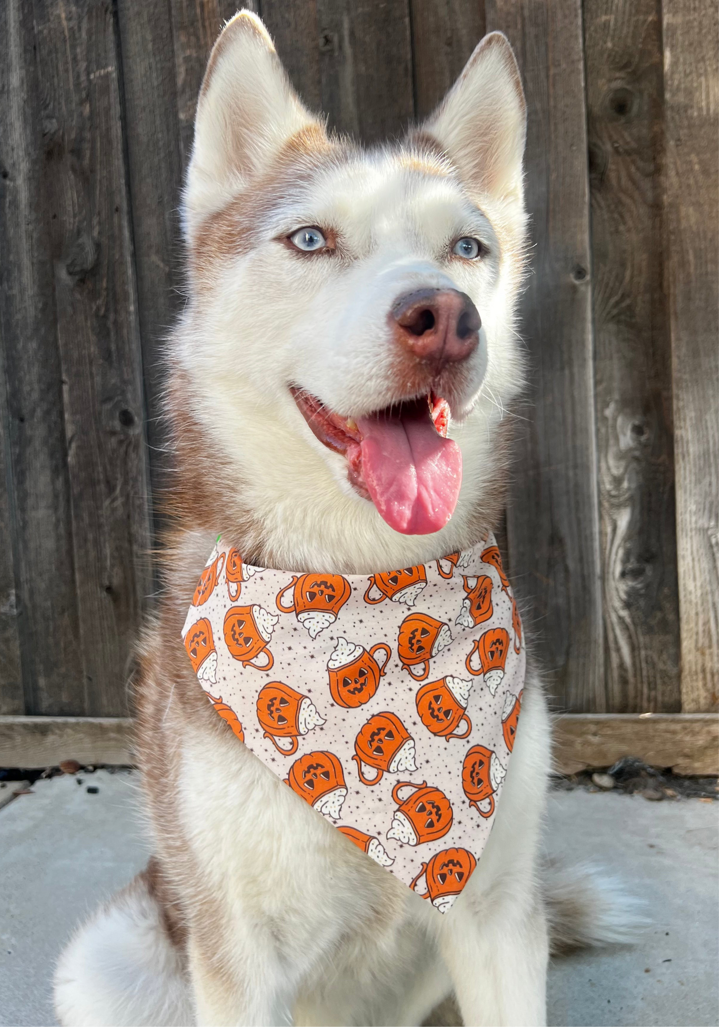 Pumpkin Spice Coffee Bandana
