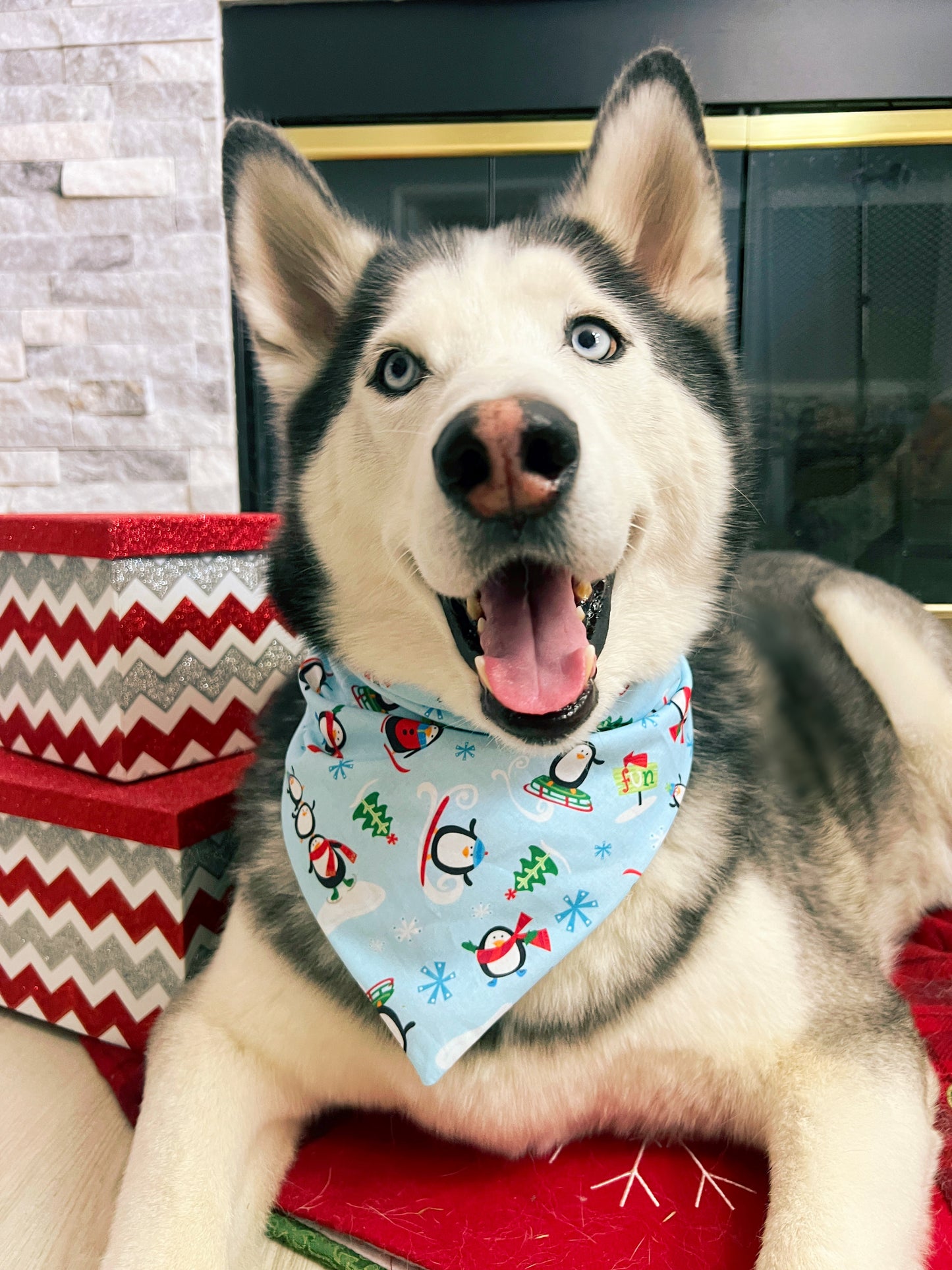 Penguin Frenzy Bandana