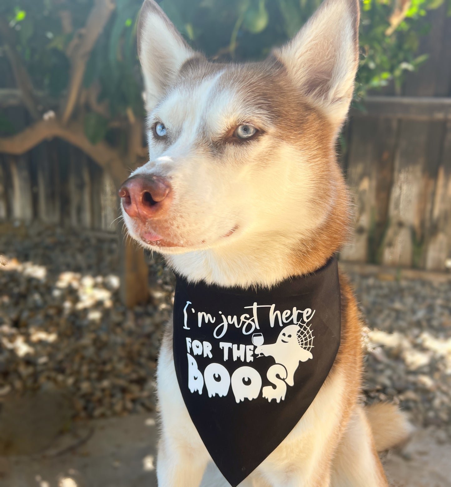Just Here for the Boos Bandana