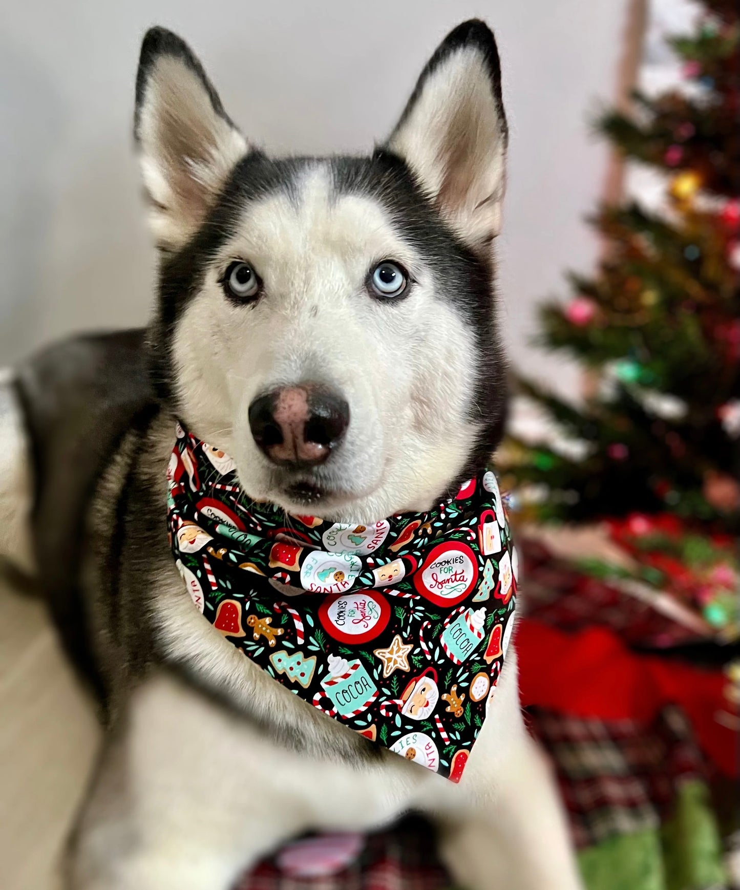 Cookies for Santa Dog Bandana