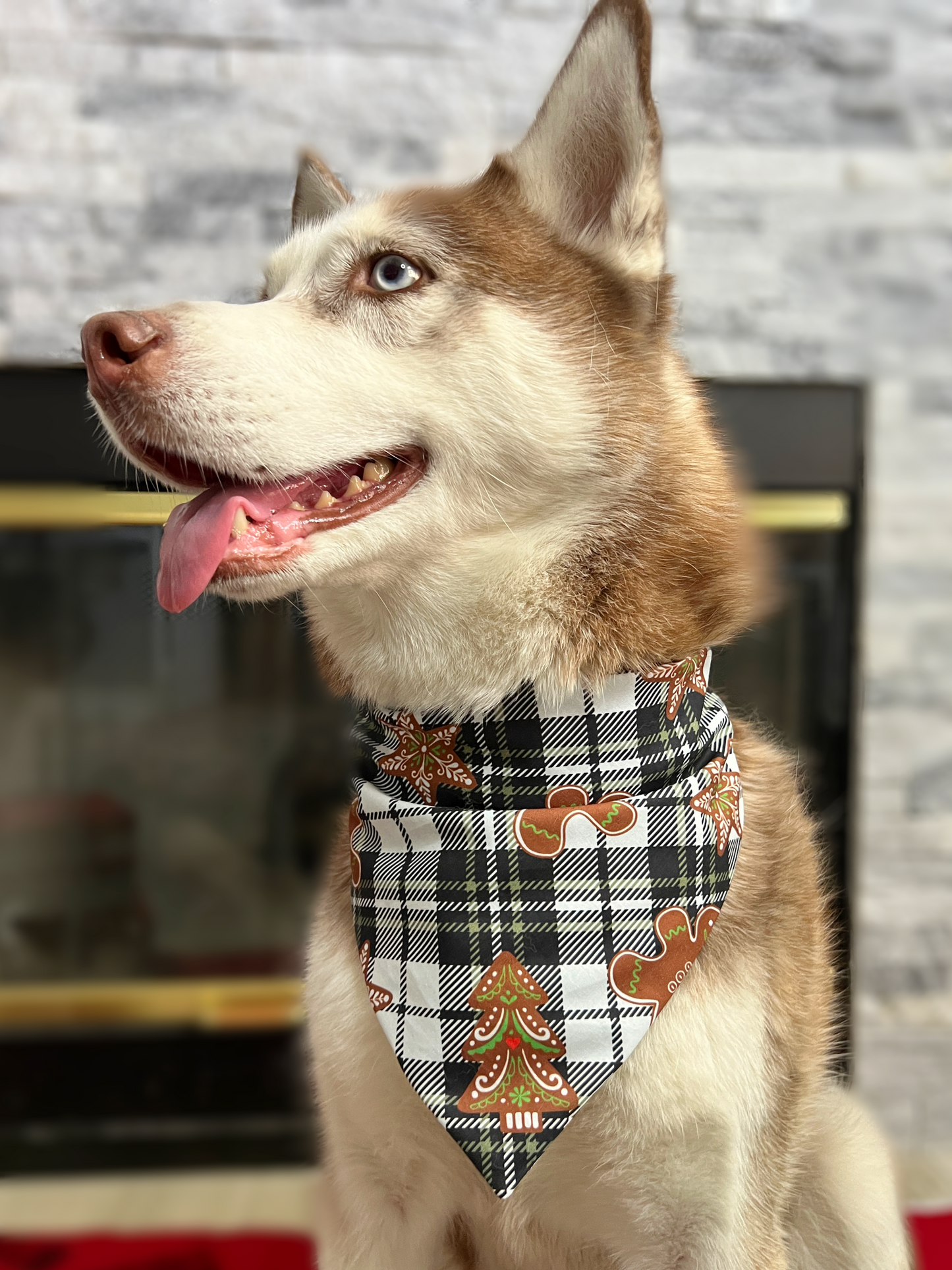 Gingerbread Plaid Dog Bandana