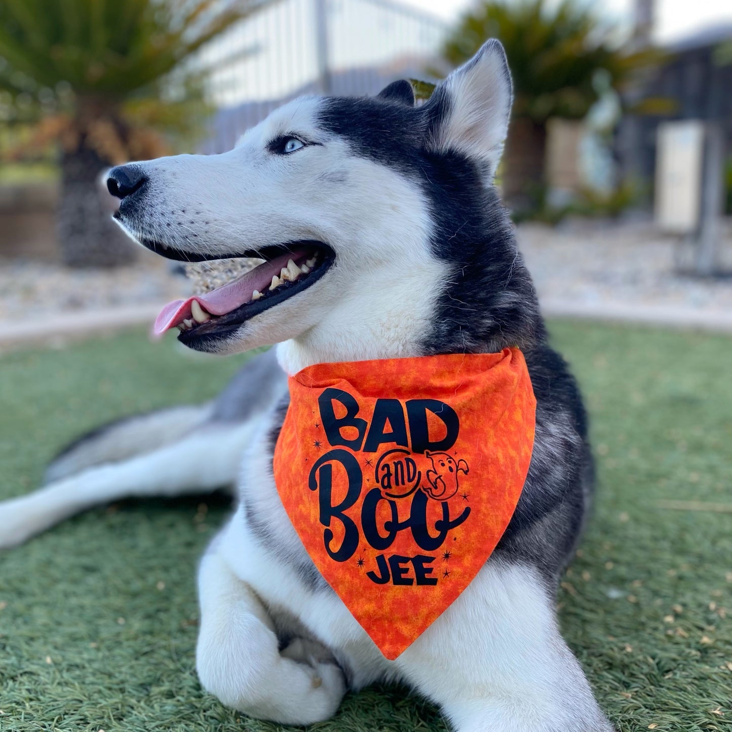 Bad and Boo-jee Bandana