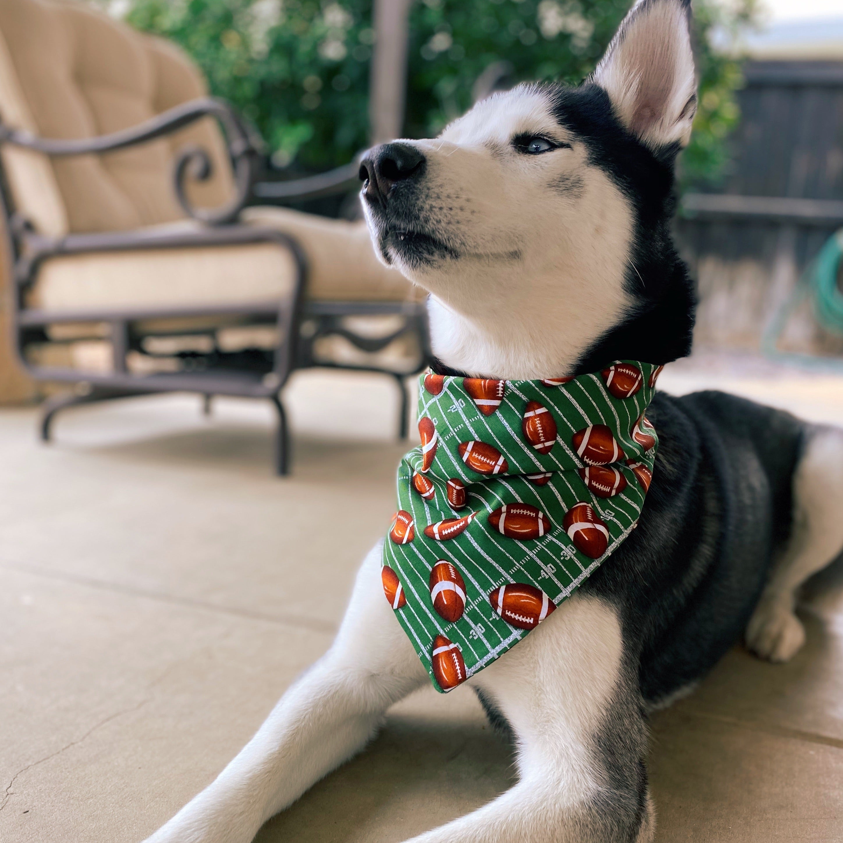 Football Helmet' Dog Bandana