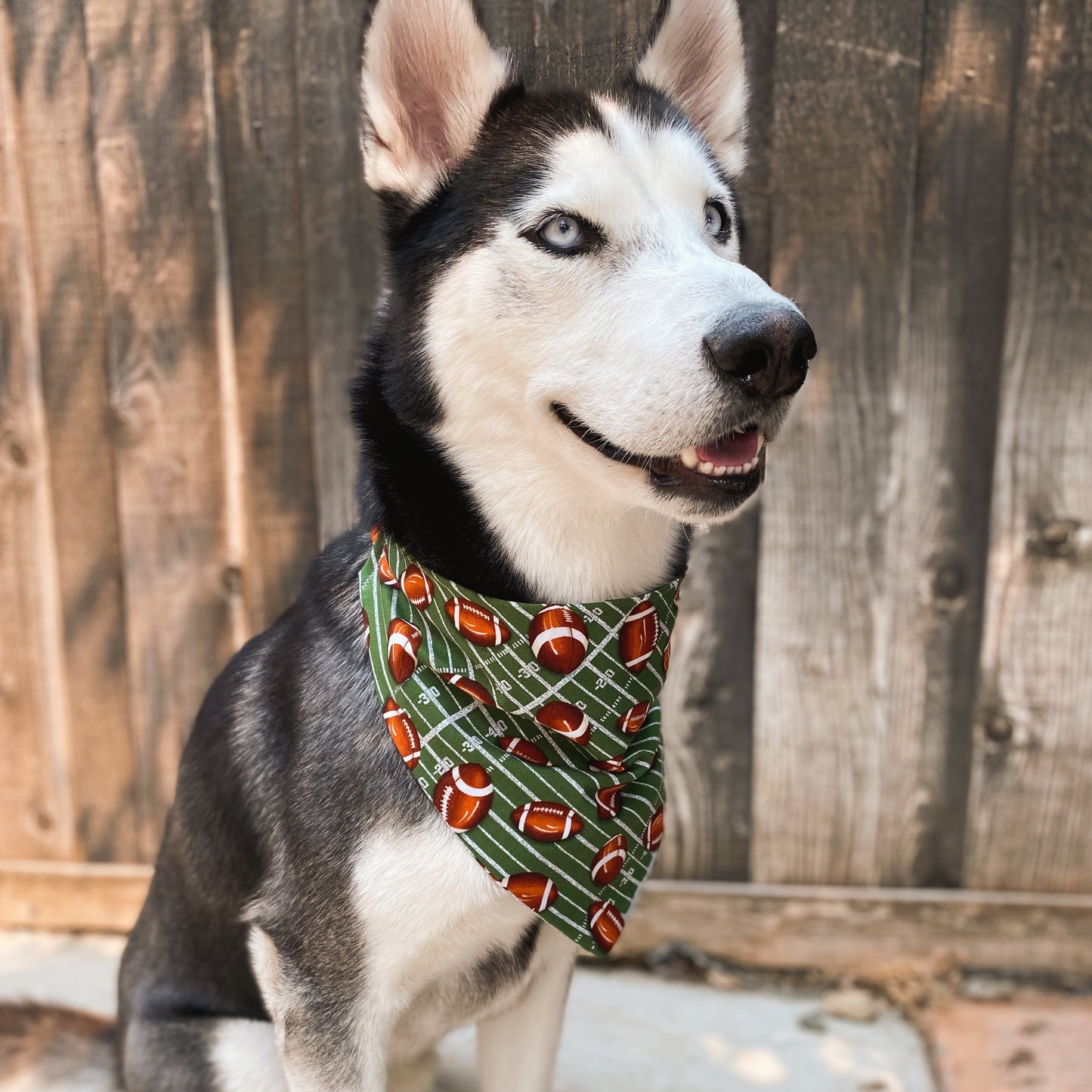 Football Matching Set - Dogbana
