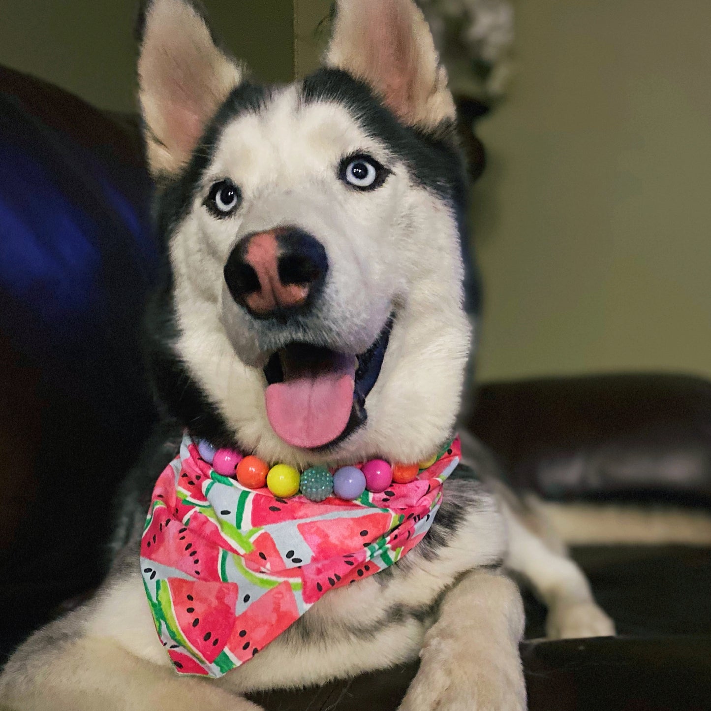 Watermelon Bandana - Dogbana