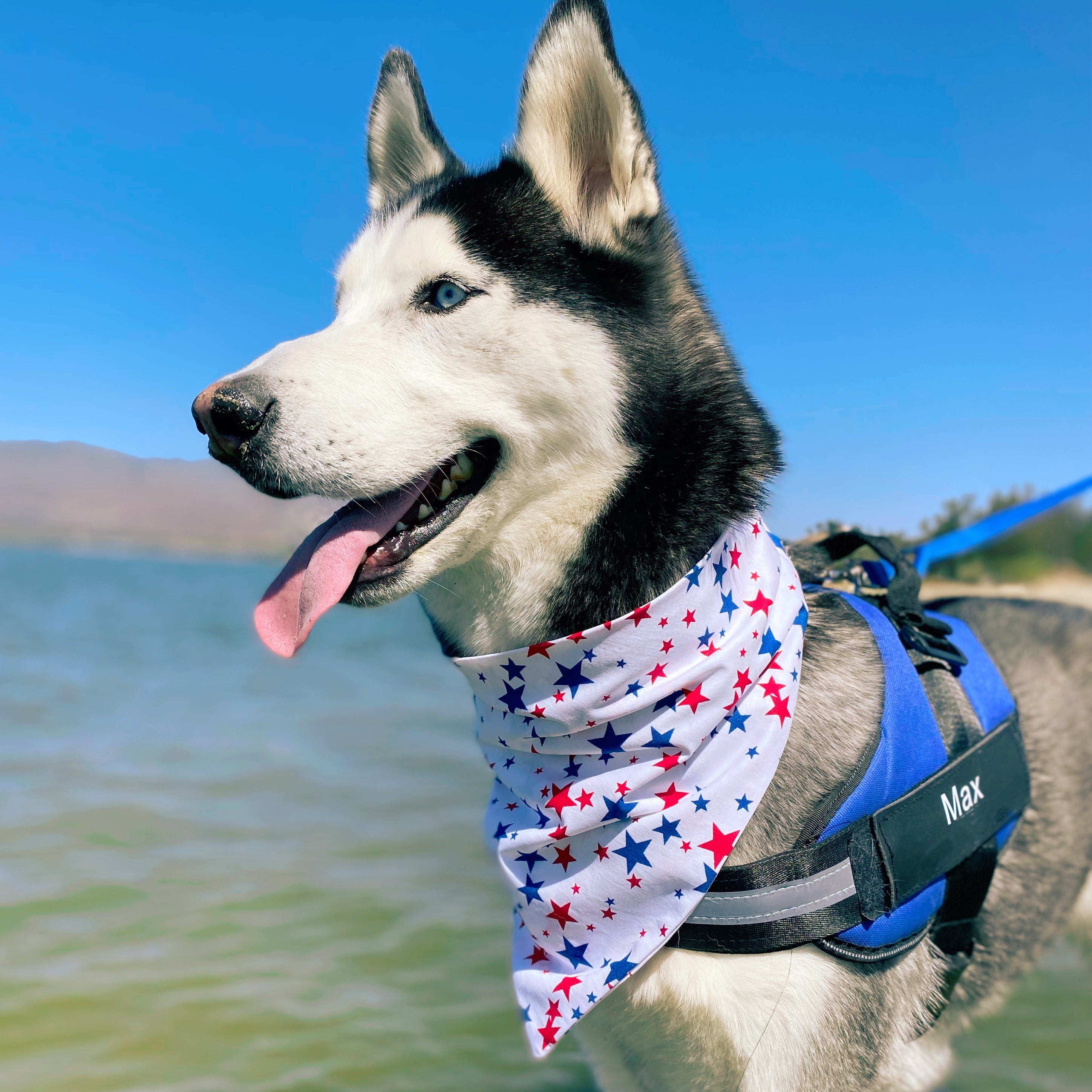 Fourth of July Collection