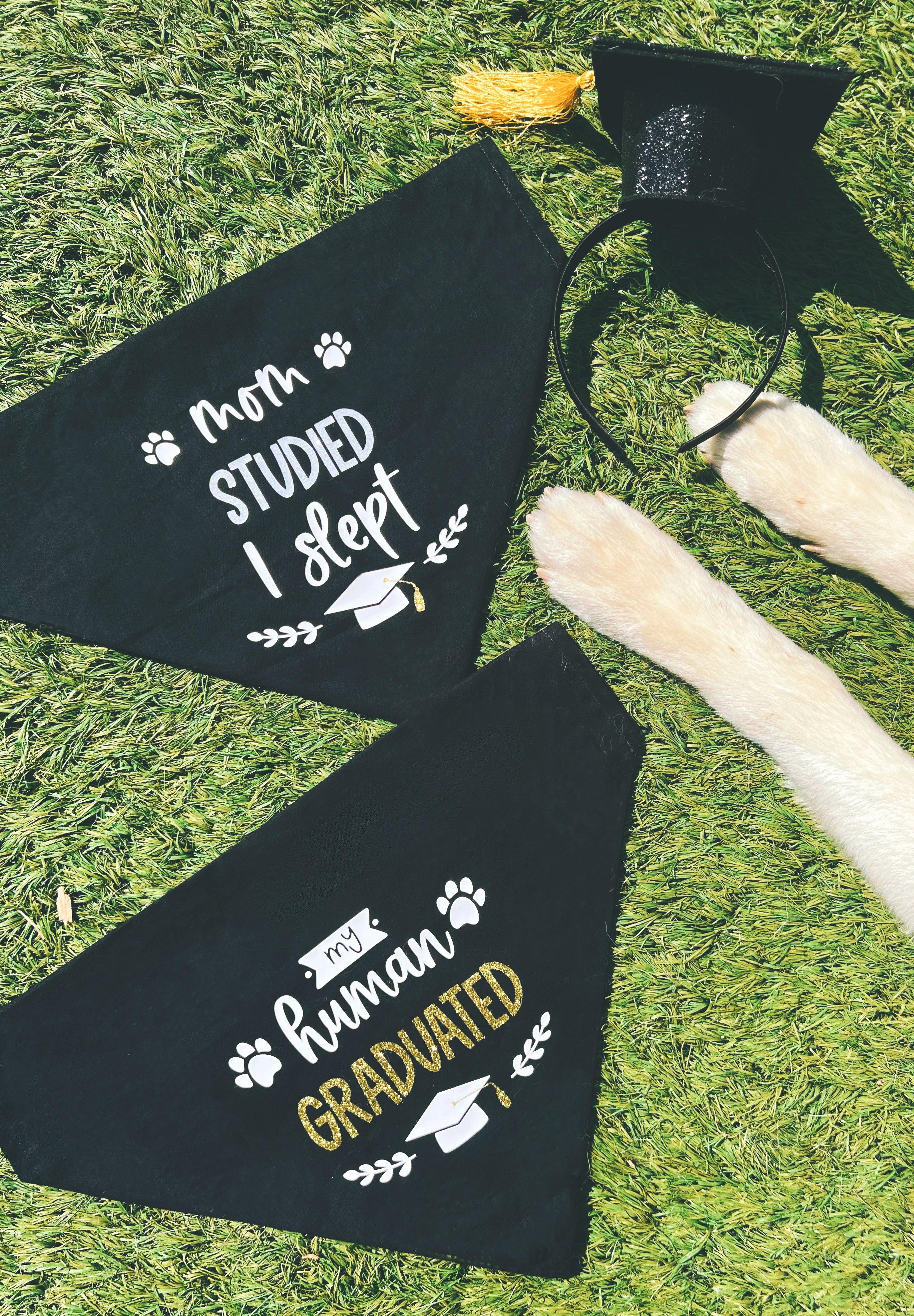 2026 Graduation Collection