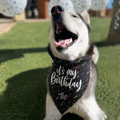 Its My Birthday Bandana
