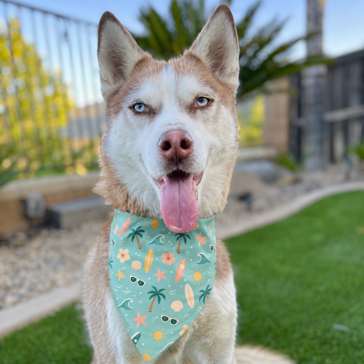 Surfs Up Bandana