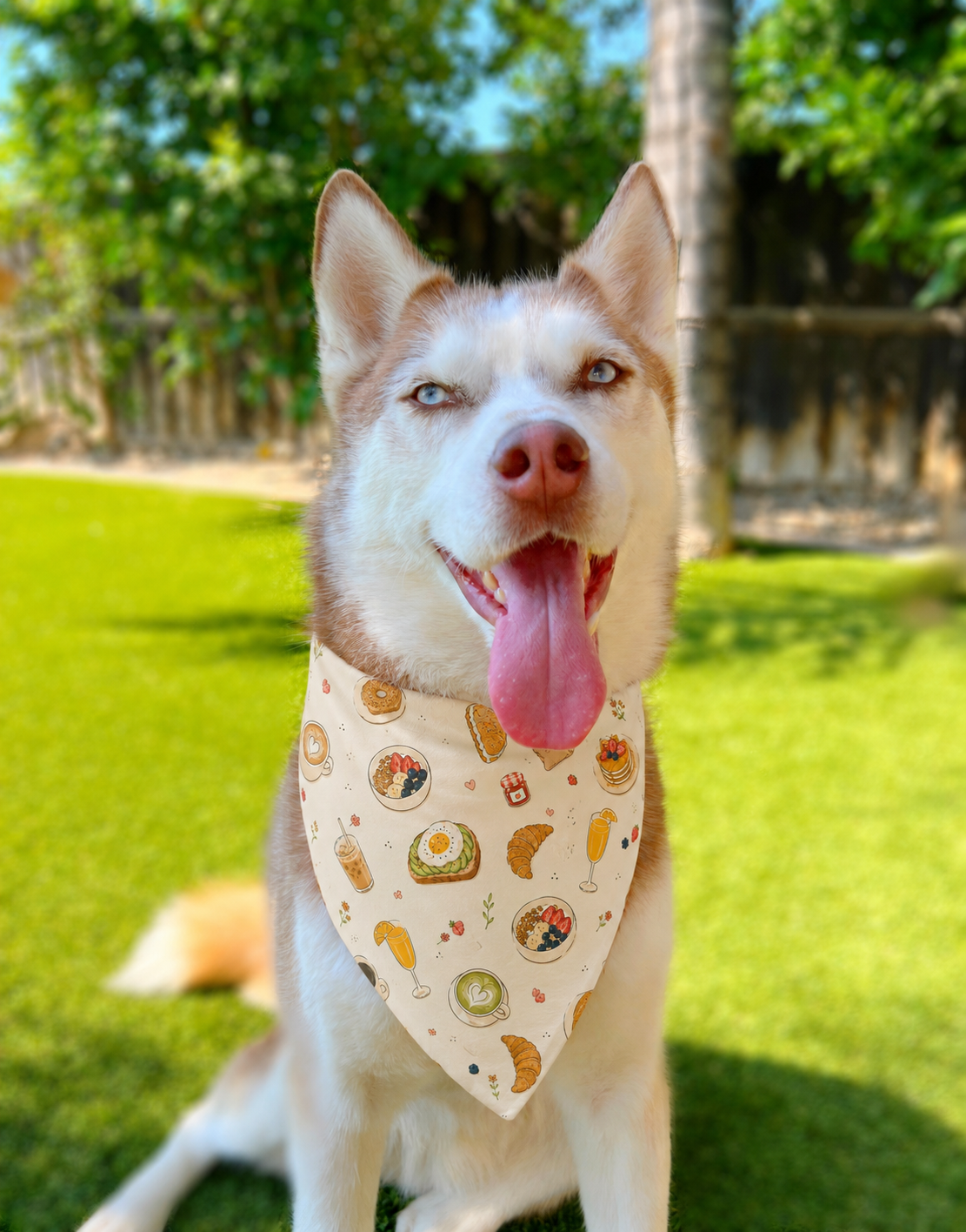 Brunch Club Bandana