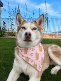 Iced Lattes Bandana