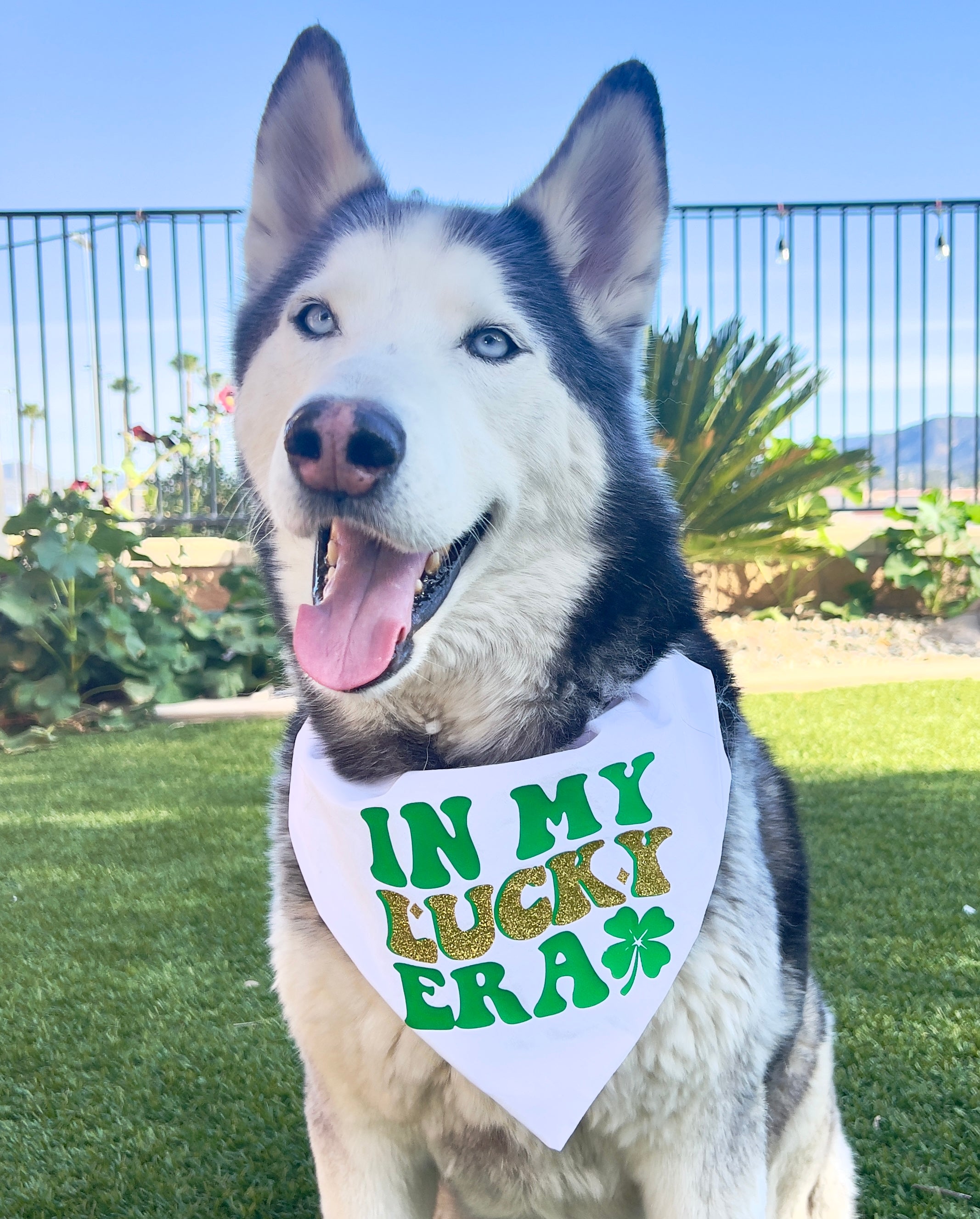 In My Lucky Era Bandana