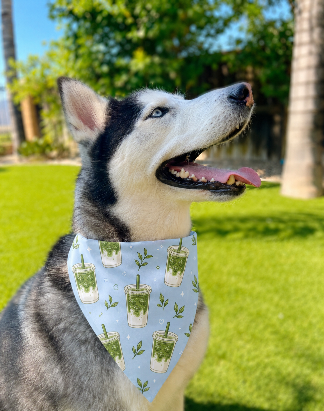 Iced Matcha Latte Bandana