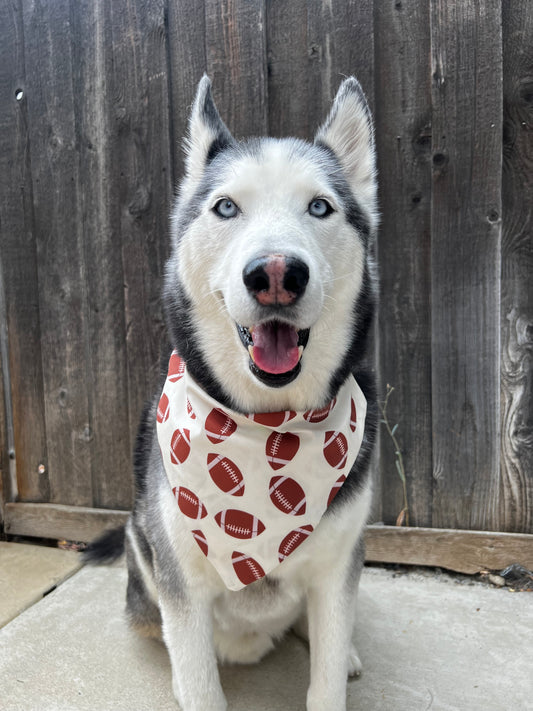 Game Day Bandana