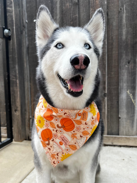 PSL Autumn Vibes Bandana