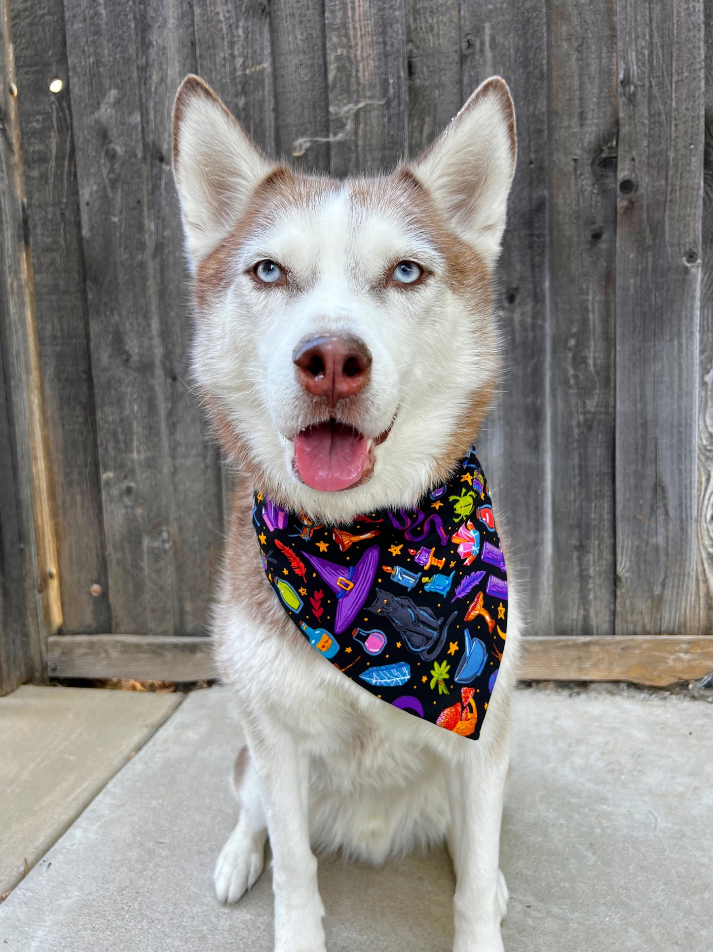 Witches Spell Bandana