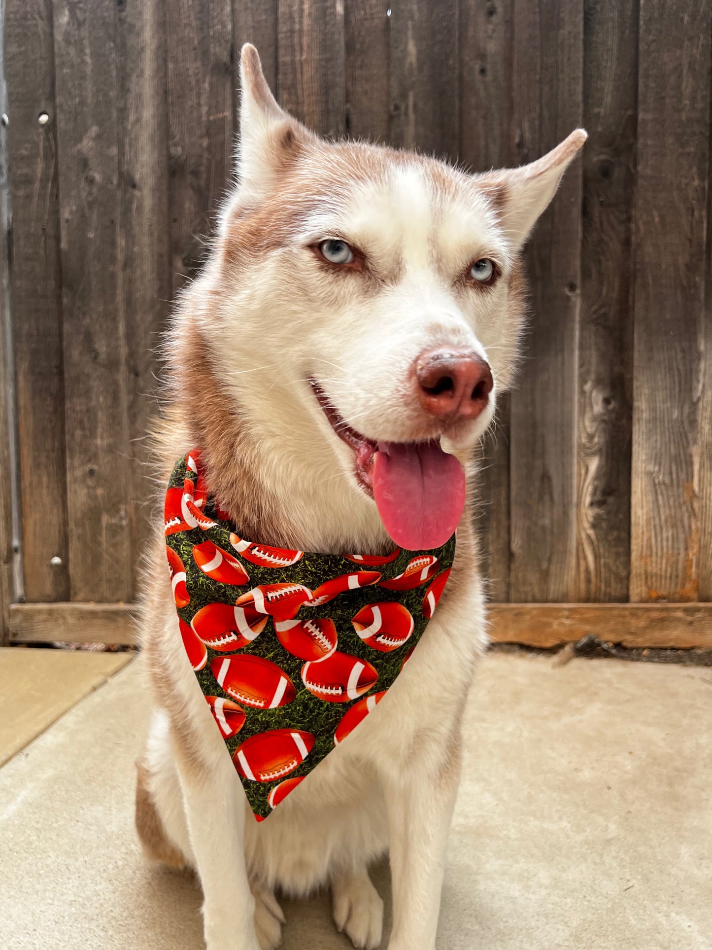 Touchdown Bandana