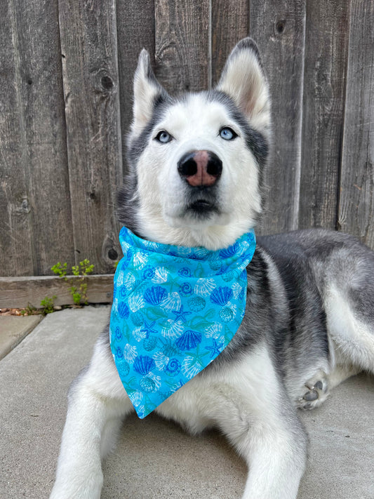 Under The Sea Bandana