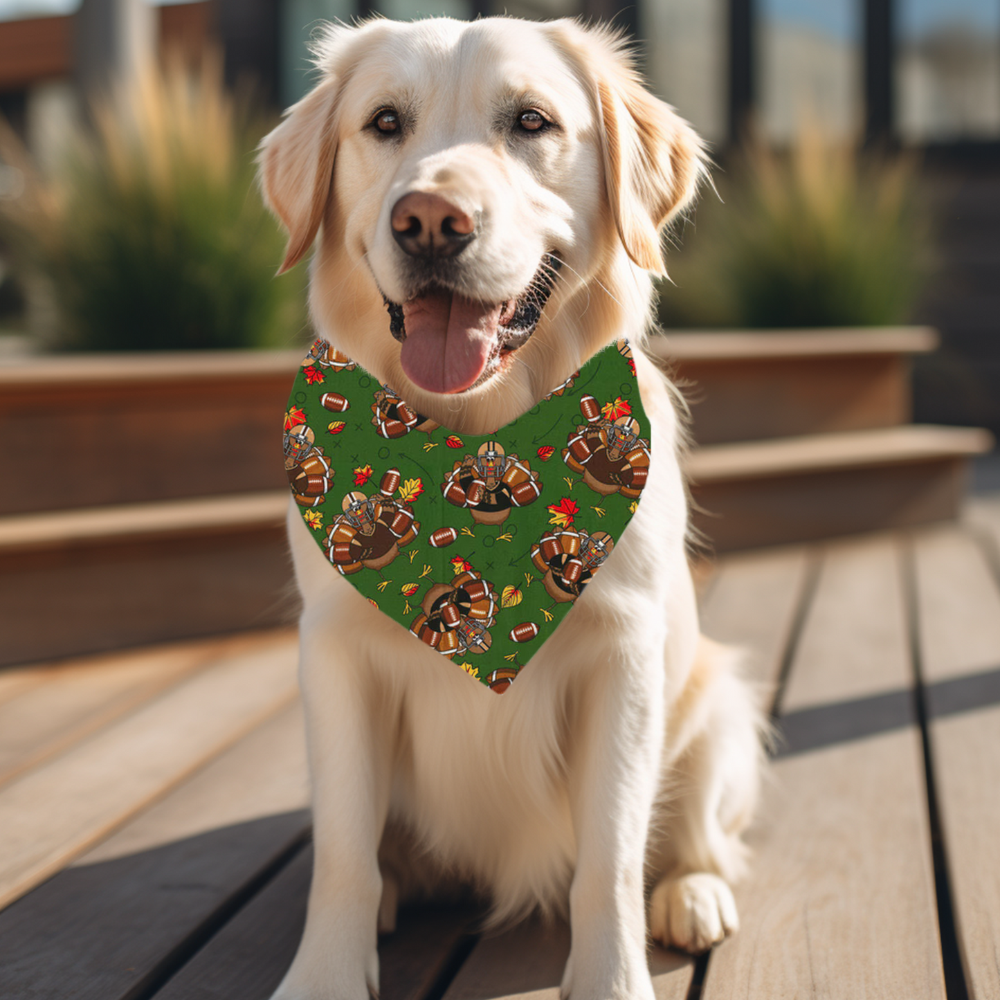 Turkey and Touchdowns Bandana 