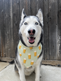 Bark & Brews Bandana
