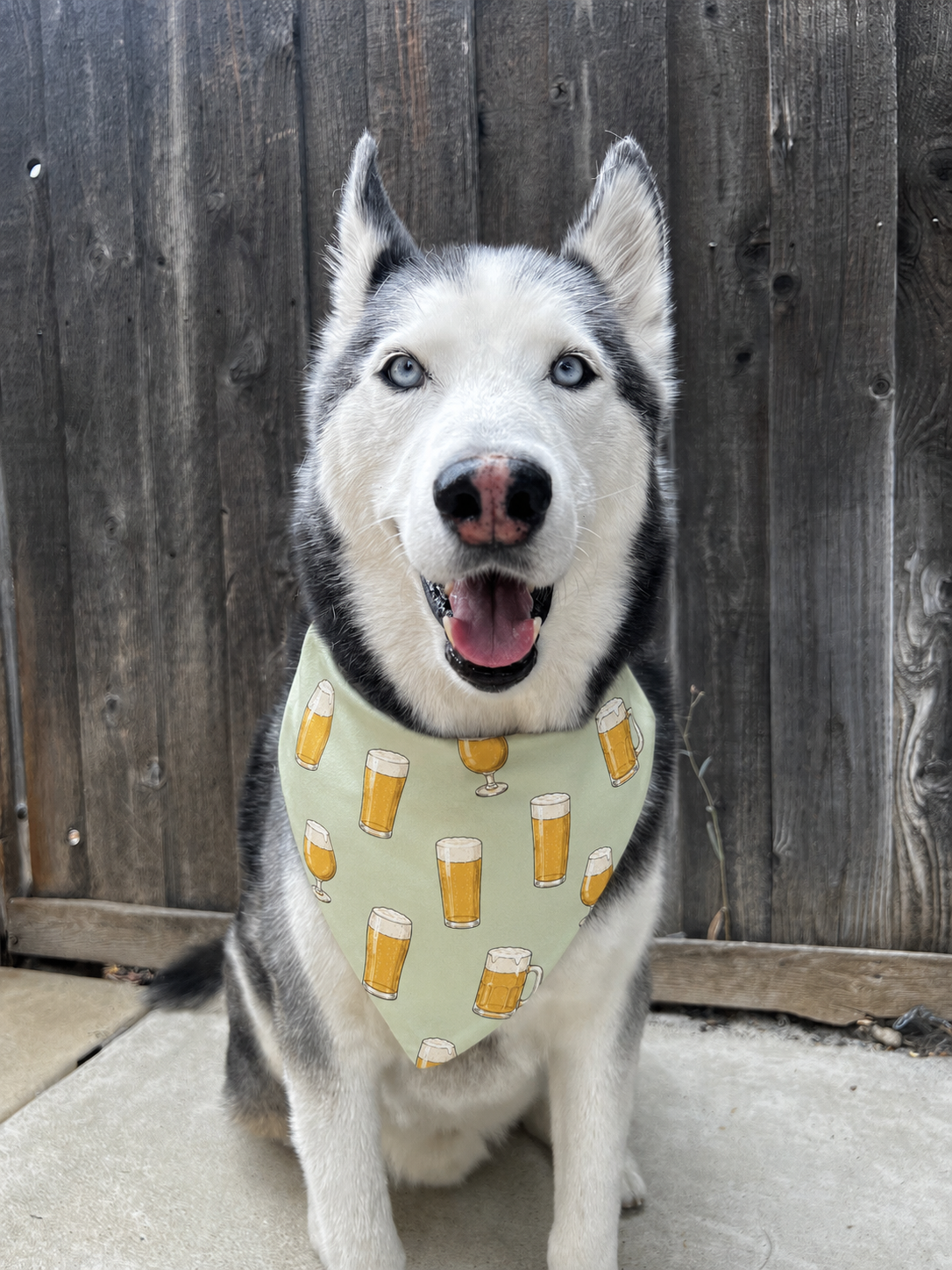 Bark & Brews Bandana