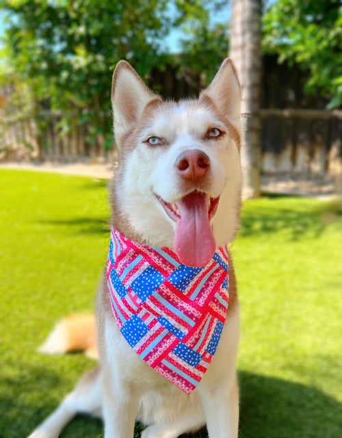 Dog wearing a colorful USA flag bandana in a grassy outdoor setting