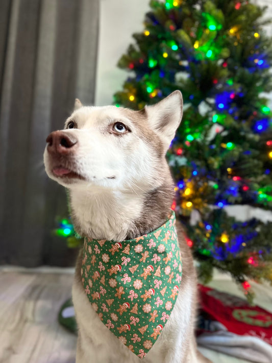 Santa’s Gingerbread Bandana