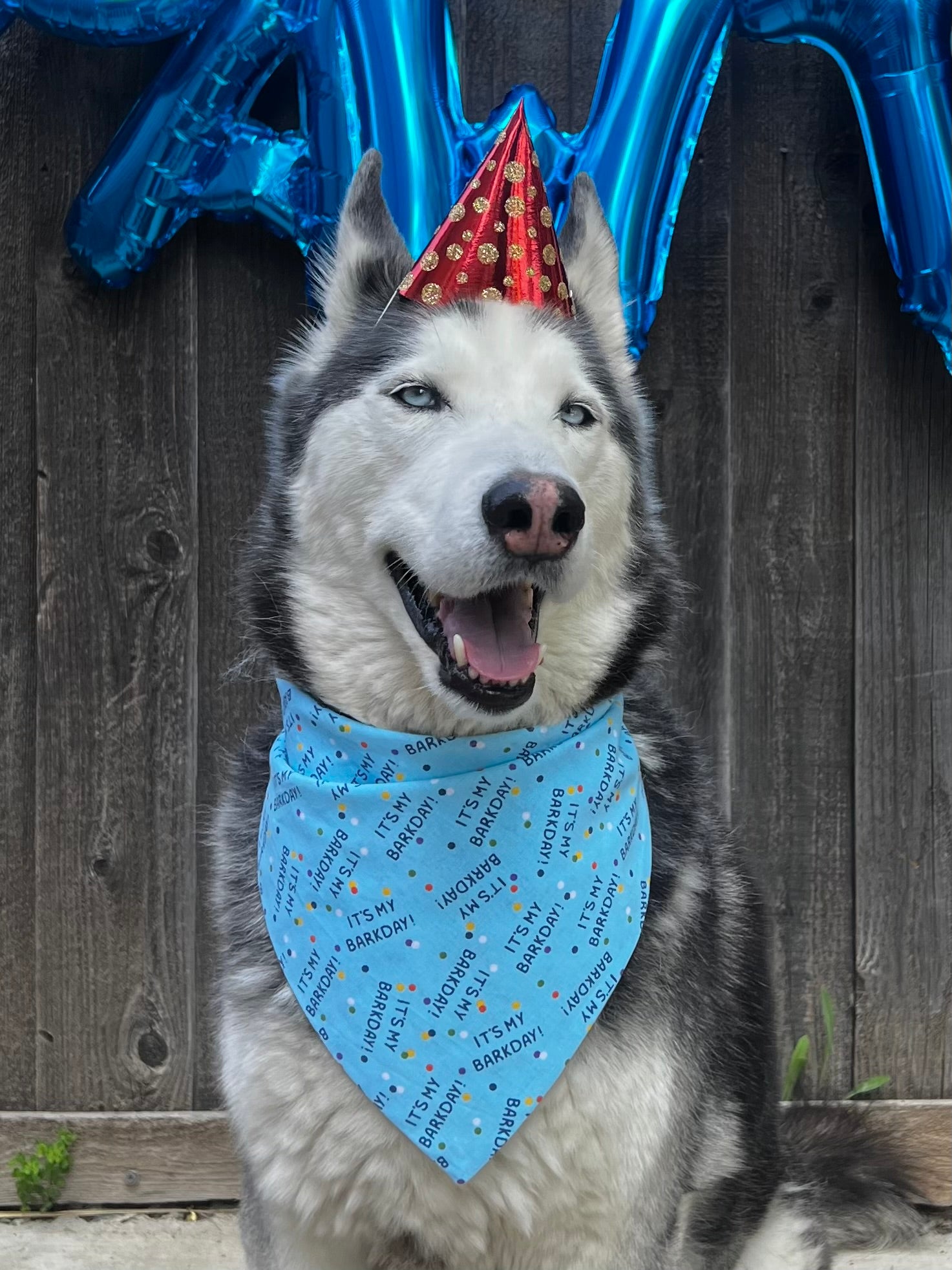 It’s My Barkday Bandana