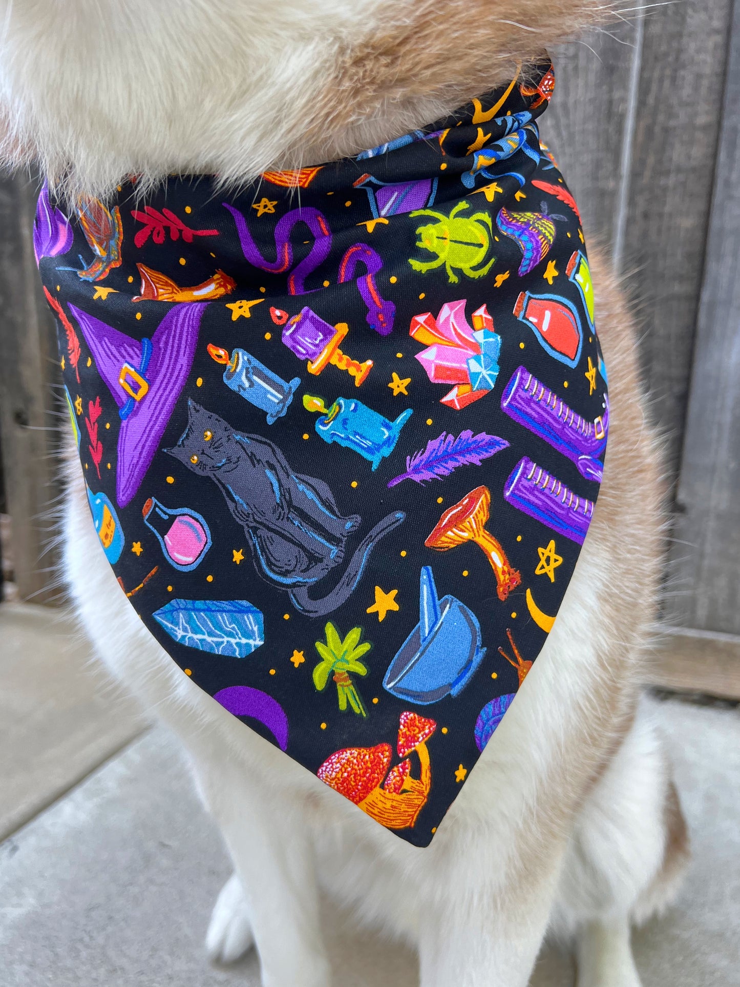 Witches Spell Bandana