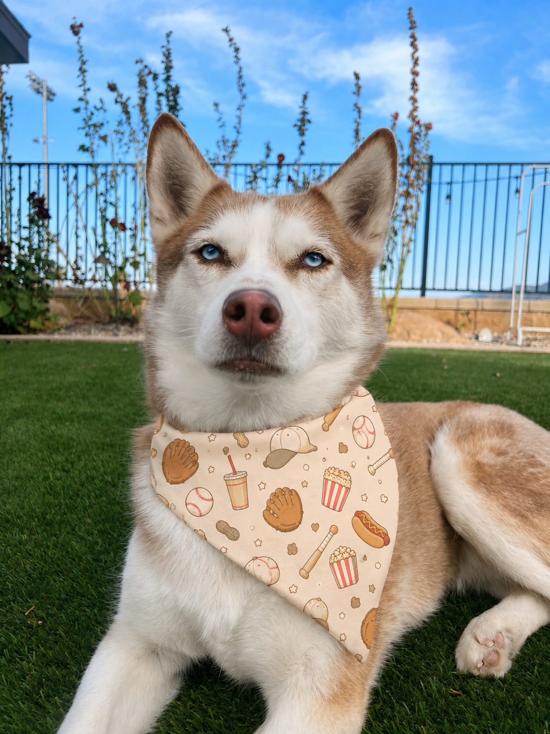 The Ballpark Bandana