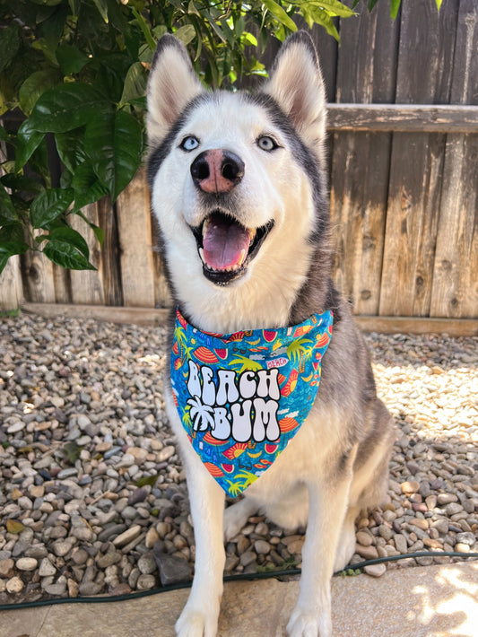 Beach Bum Bandana