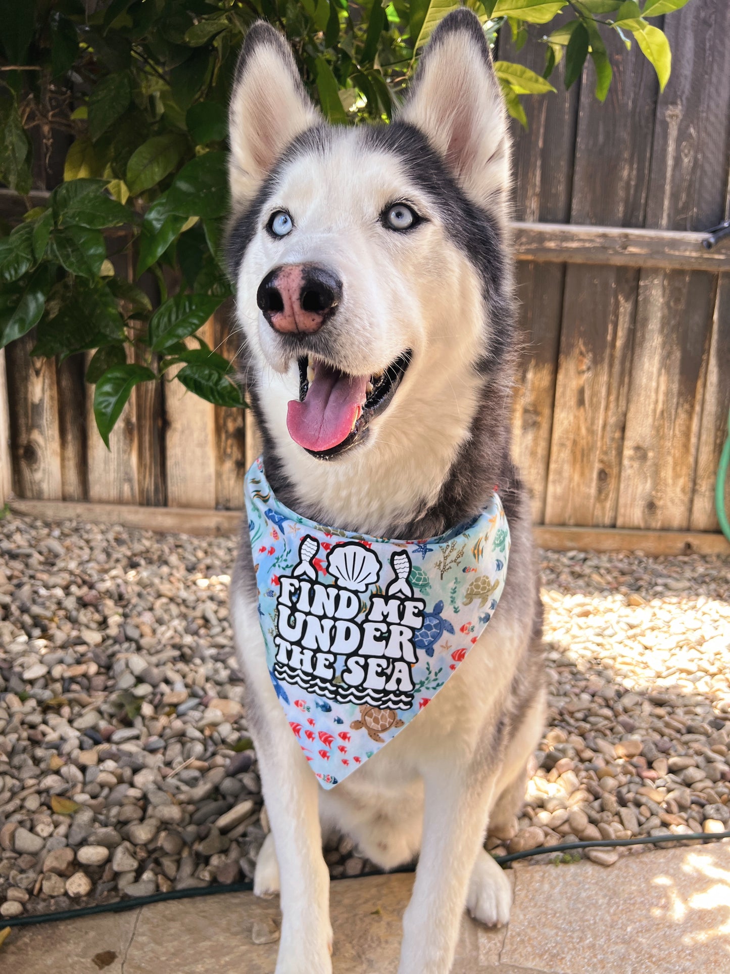 Under The Sea Bandana