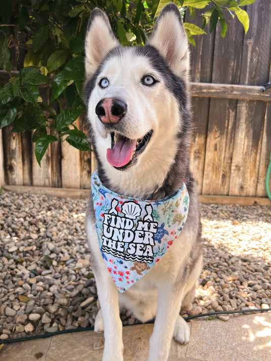 Under The Sea Bandana