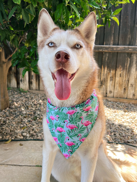 Flamingos In Paradise Bandana