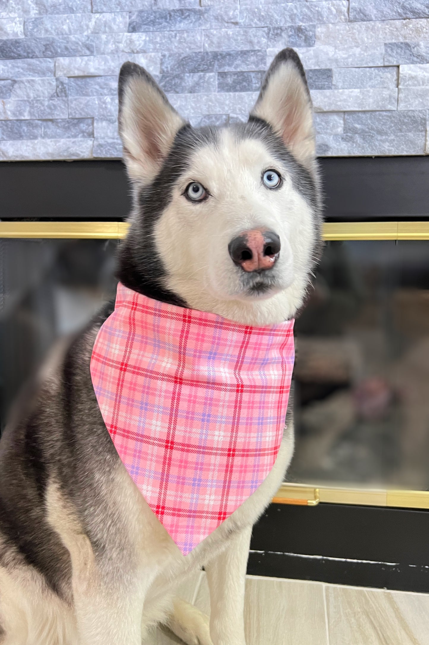 Valentine's Day Plaid Bandana