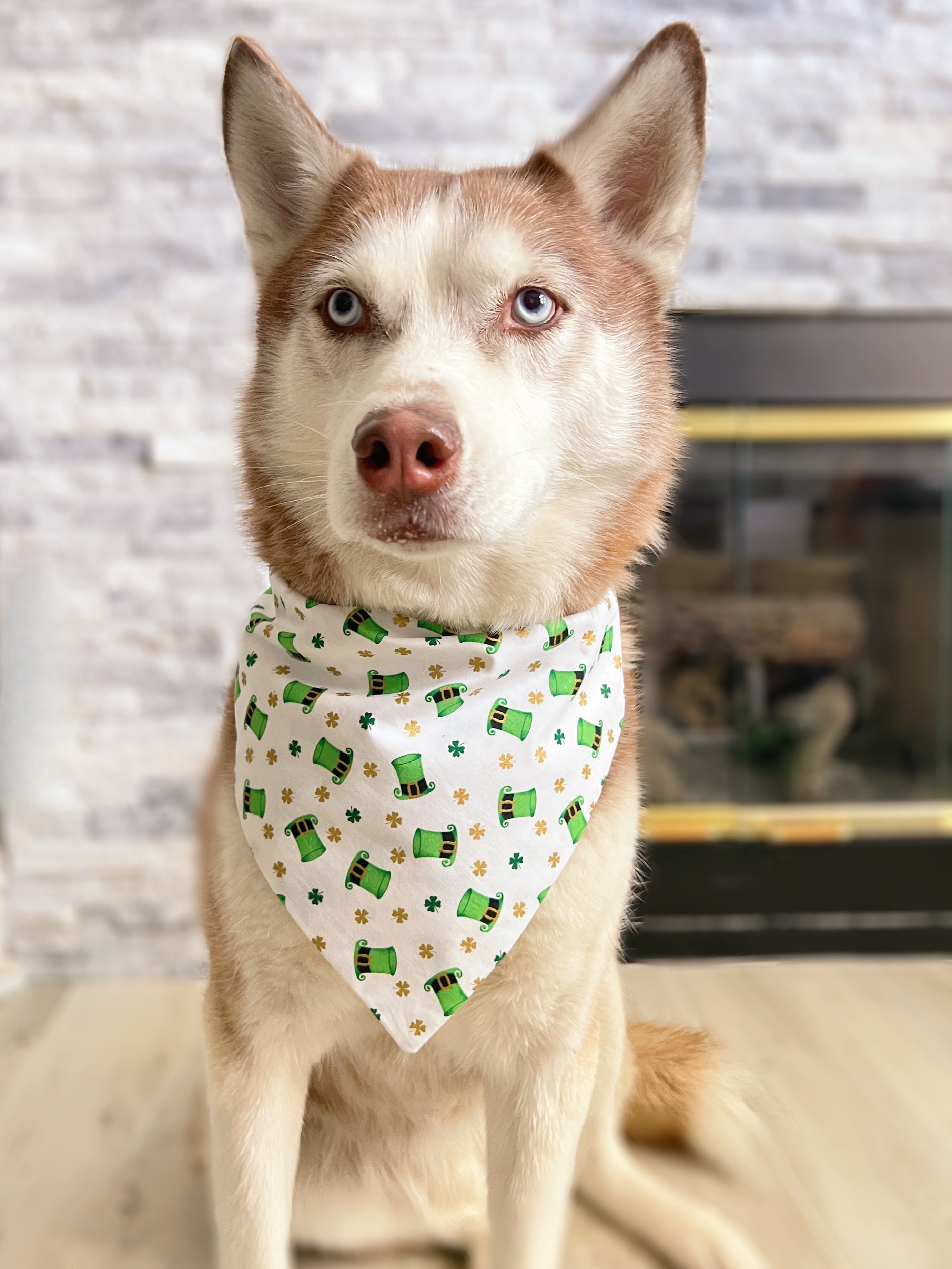 Dog on sale scarf bandana