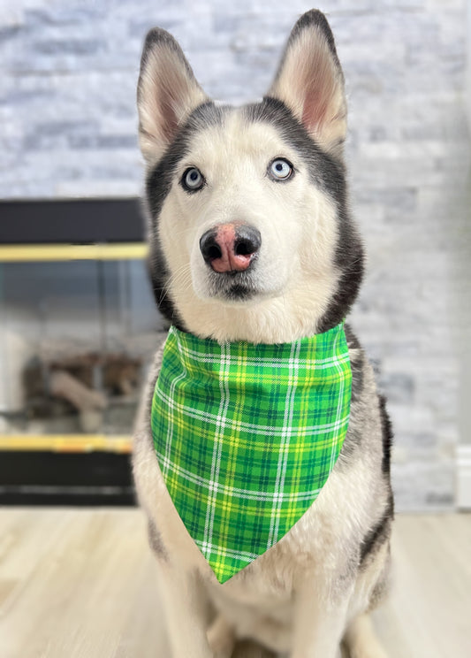 Classic St. Patrick's Day Plaid Bandana