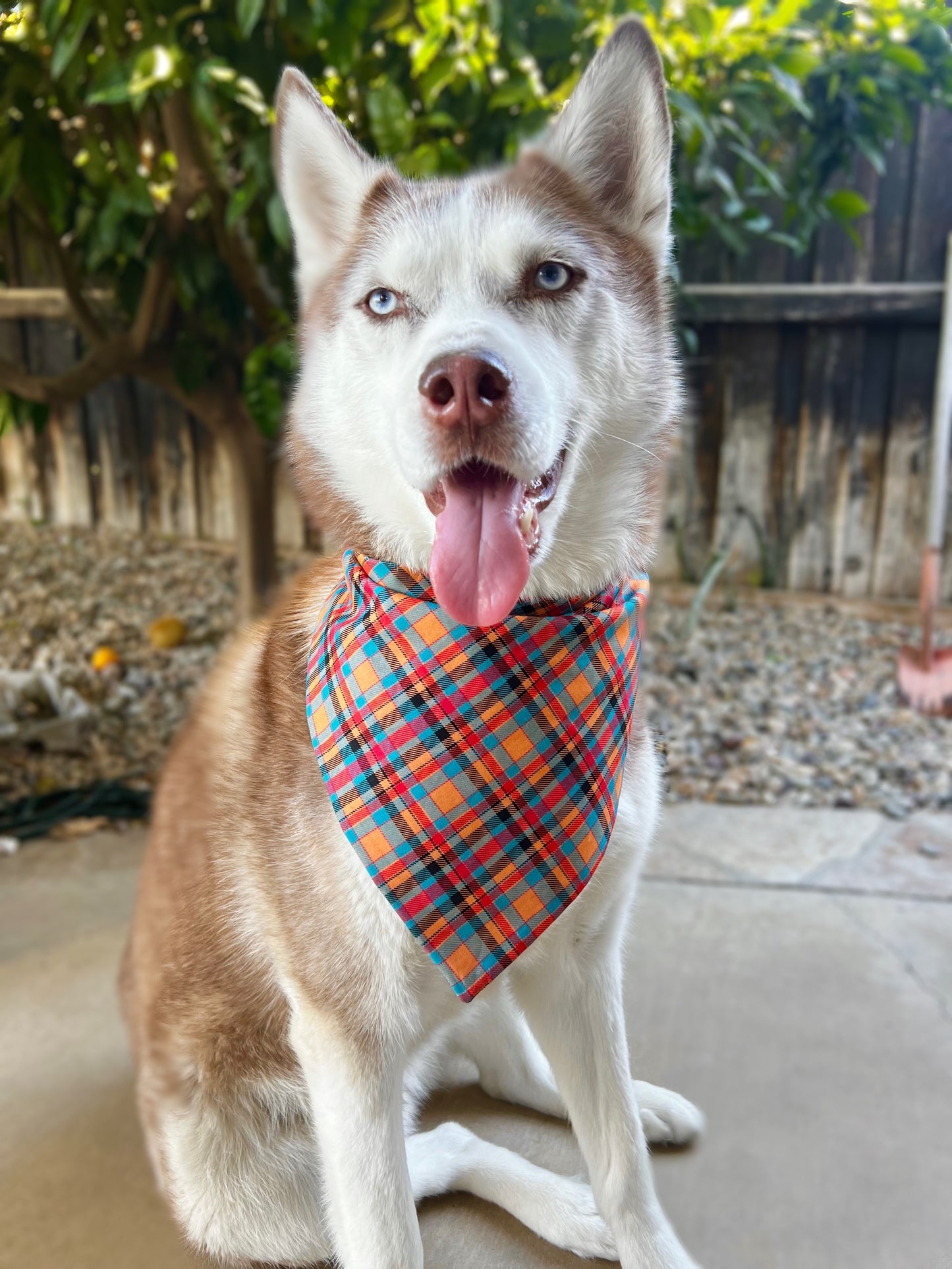 Fall Orange & Teal Bandana