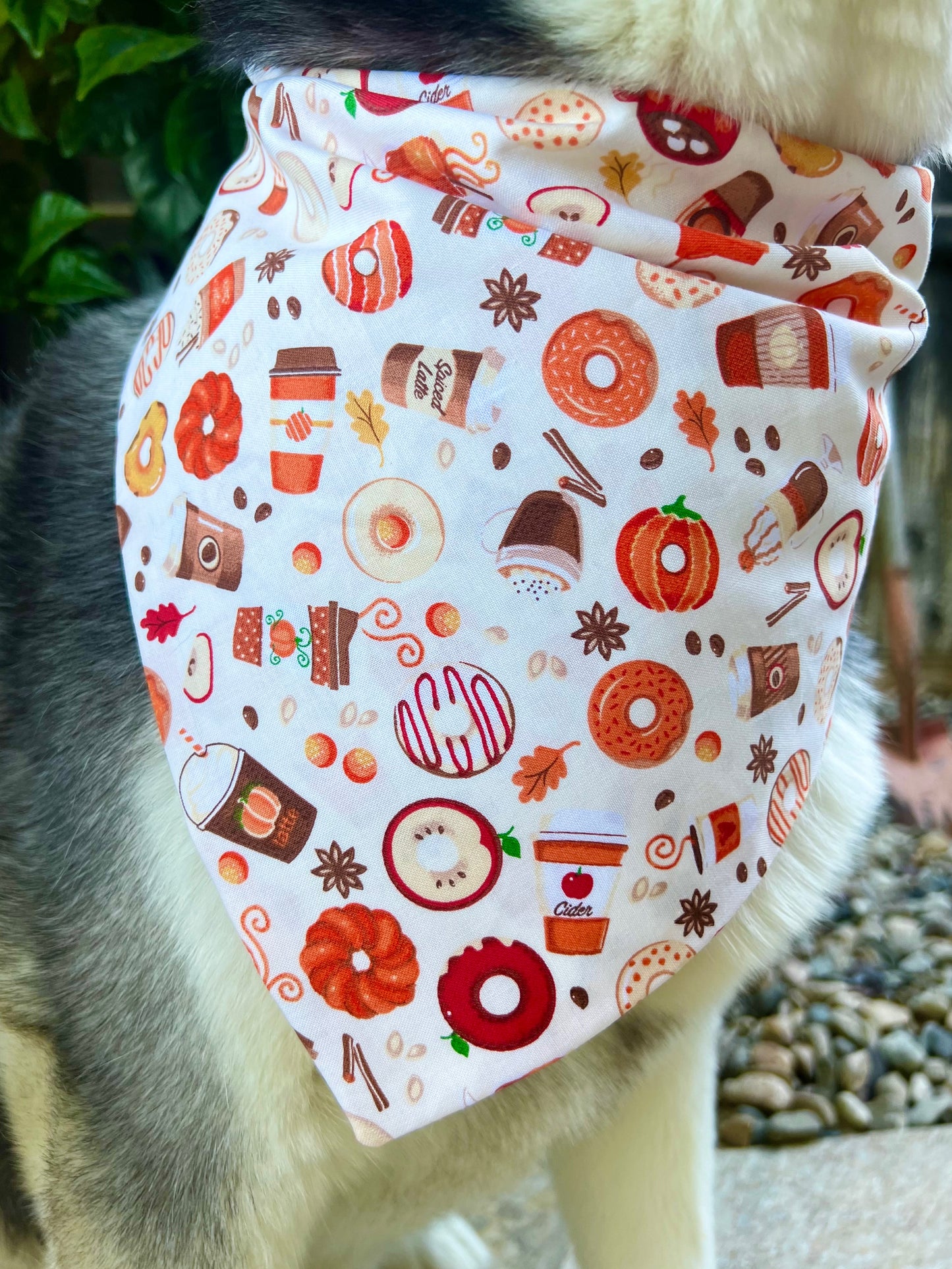 Pumpkin Spice Food & Drinks Bandana