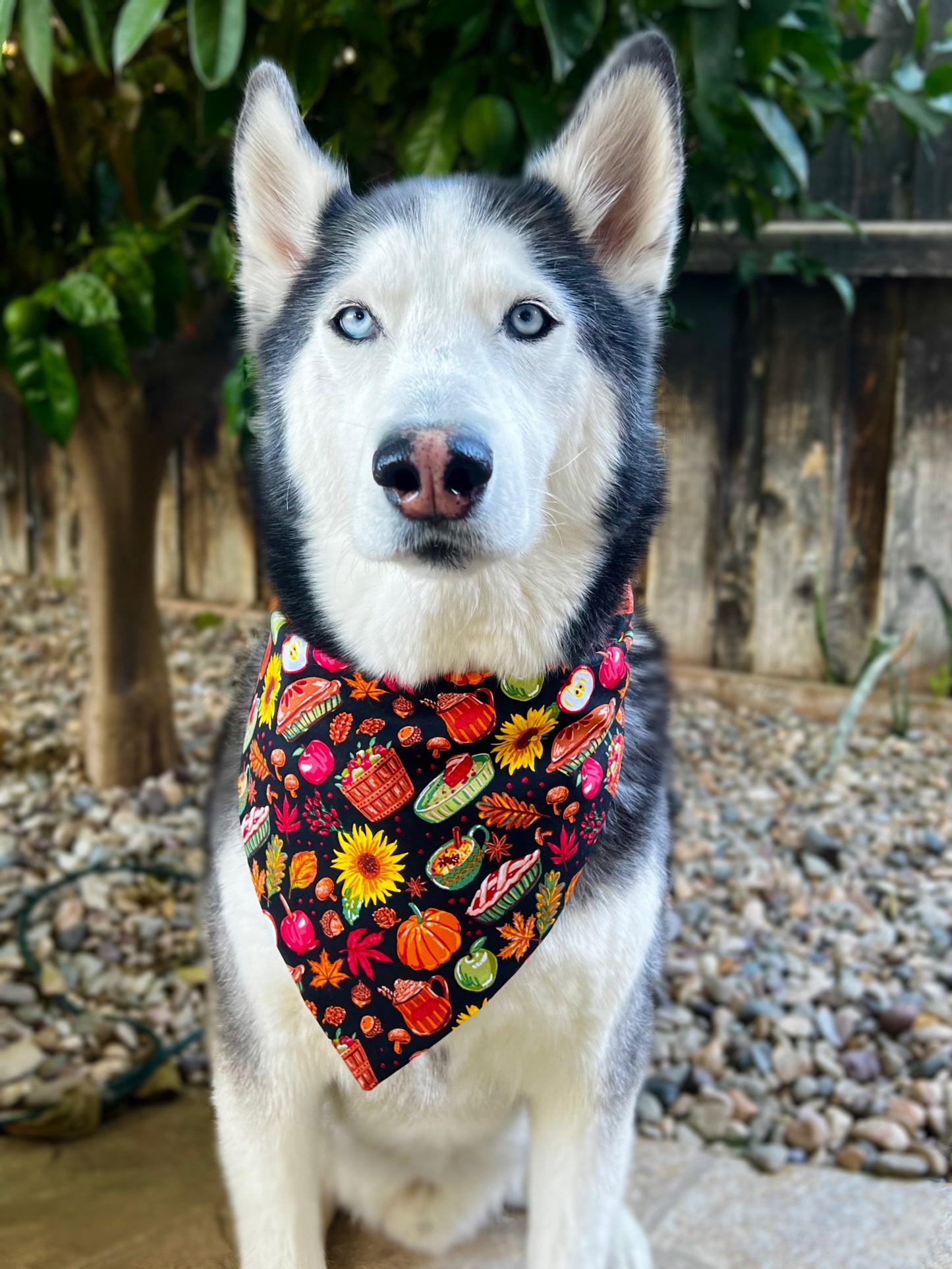 Farm Life Bandana