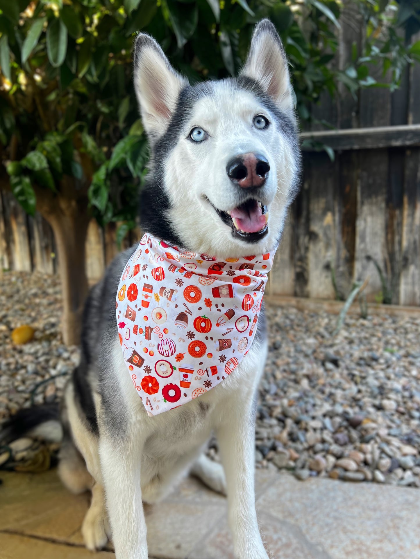 Pumpkin Spice Food & Drinks Bandana