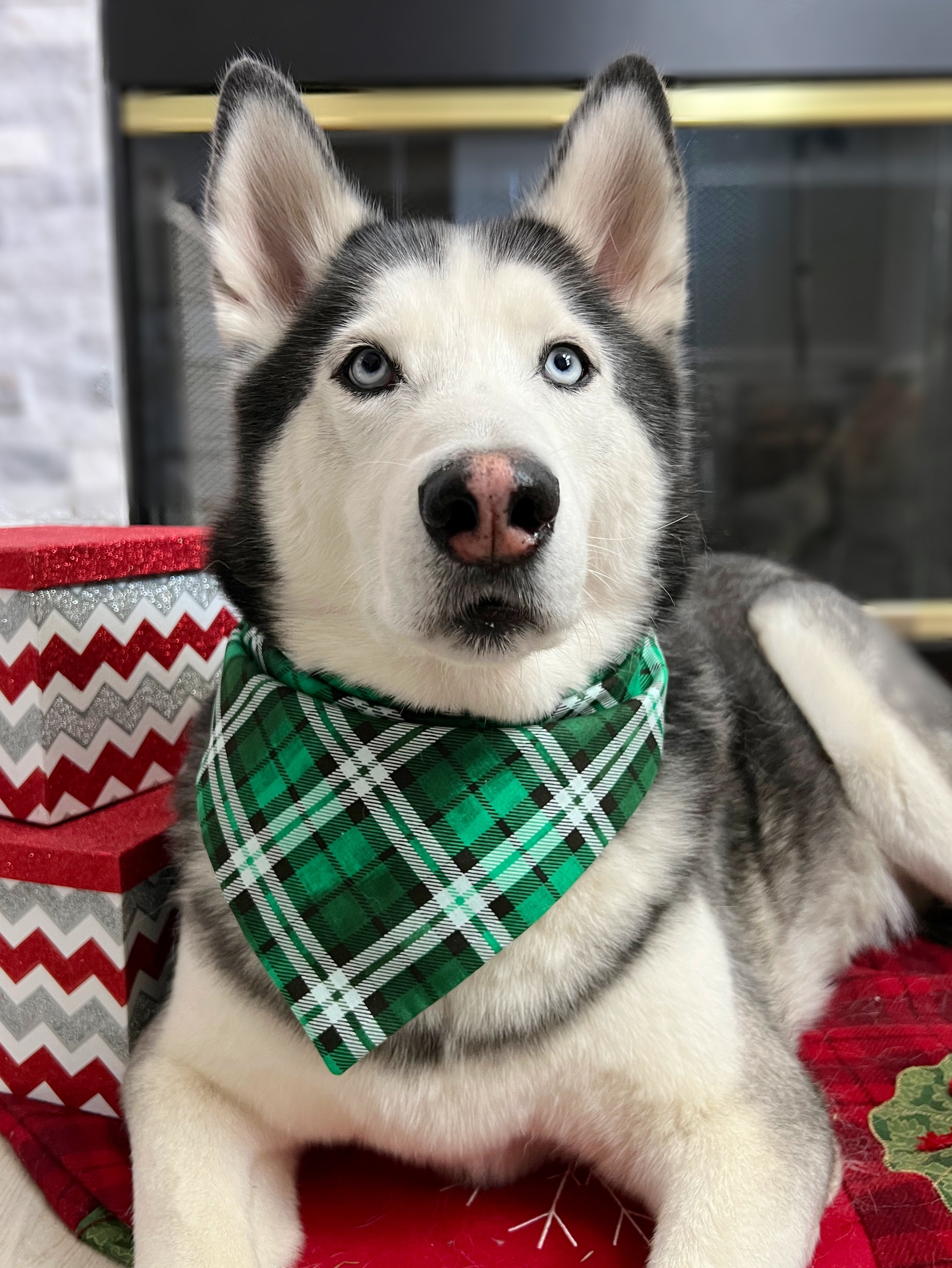 Green Plaid Bandana