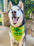 Birthday Age Dog Bandana