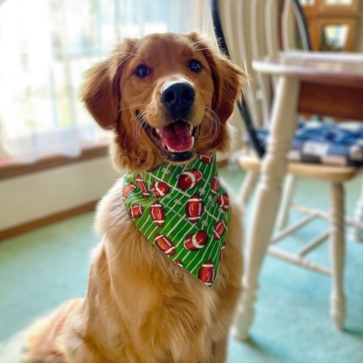 Football Bandana