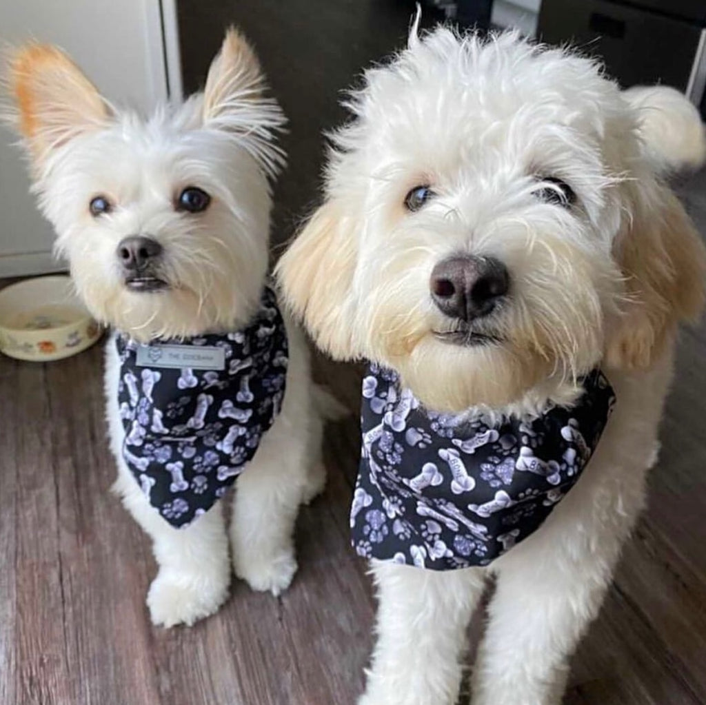 Bad to the Bone Bandana