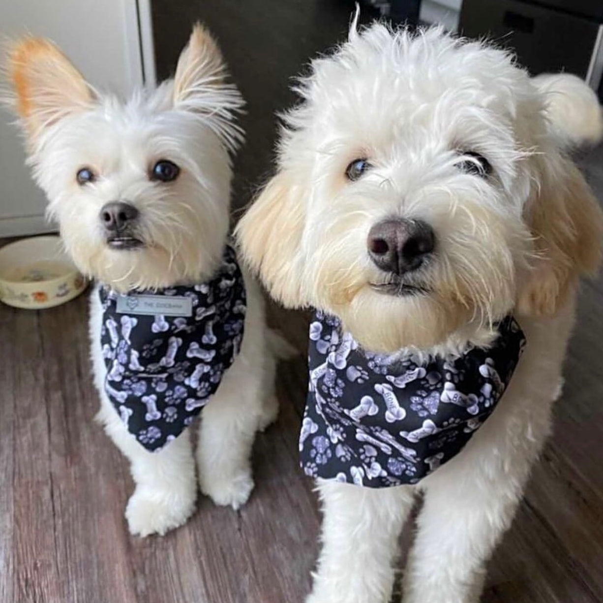 Bad to the Bone Bandana