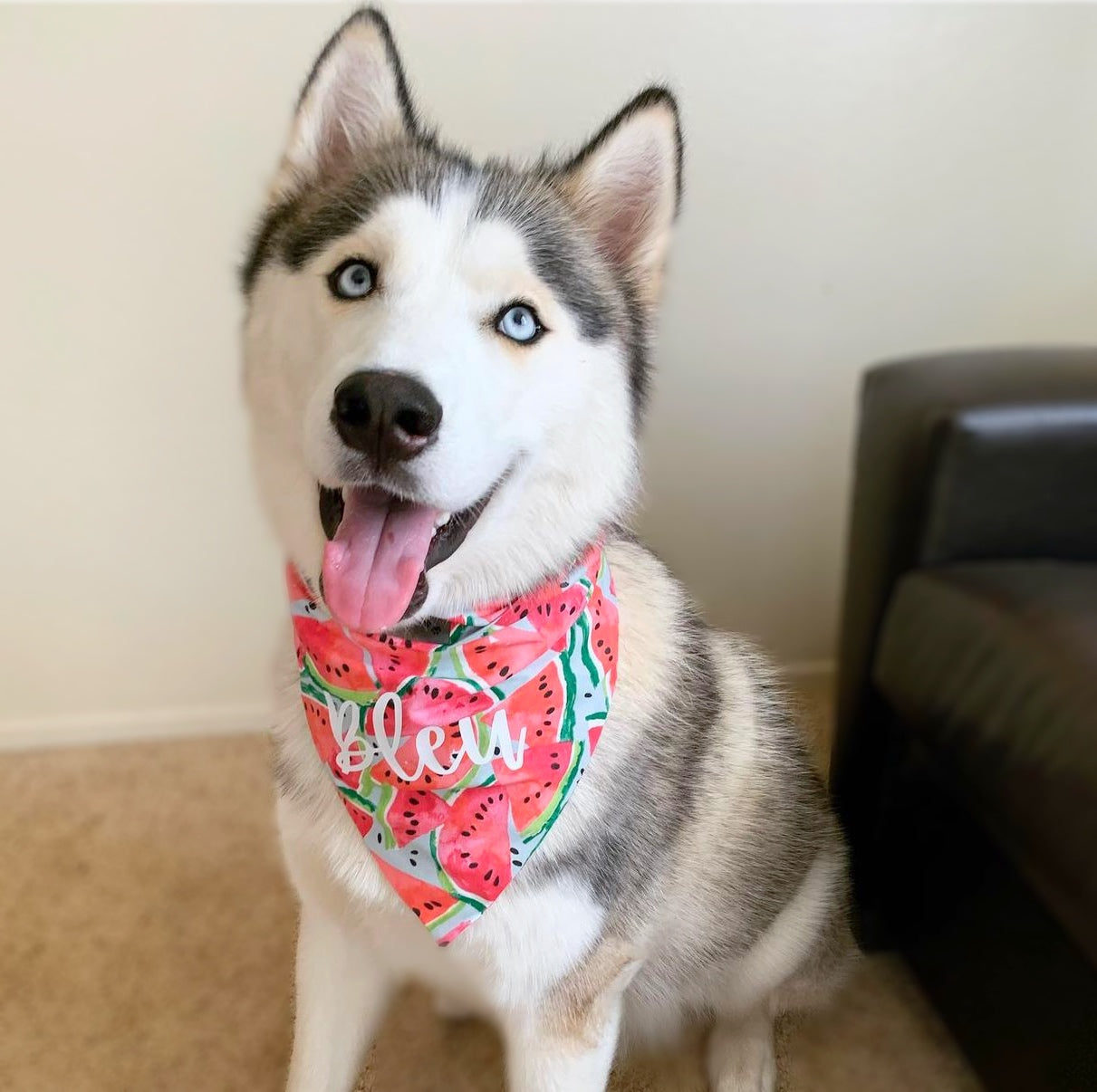 Watermelon Bandana